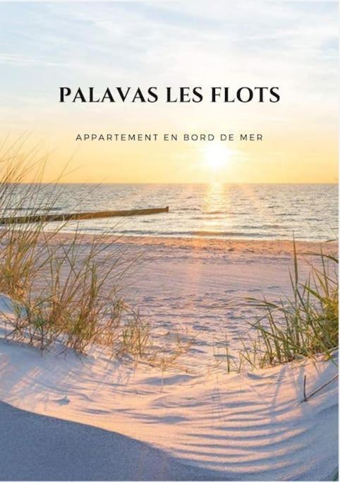 Appartement Palavas Les Flots T2 + Parking Prive Exteriér fotografie